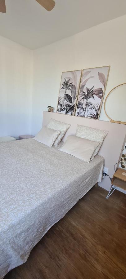 Maison De Ville Au Bord Du Lez, 170M2 Cosy. Bollène Buitenkant foto